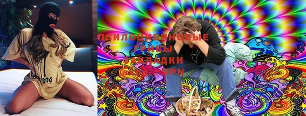 ПСИЛОЦИБИНОВЫЕ ГРИБЫ Верхнеуральск