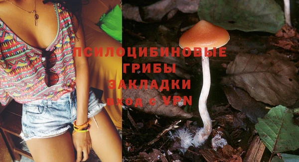 ПСИЛОЦИБИНОВЫЕ ГРИБЫ Верхнеуральск