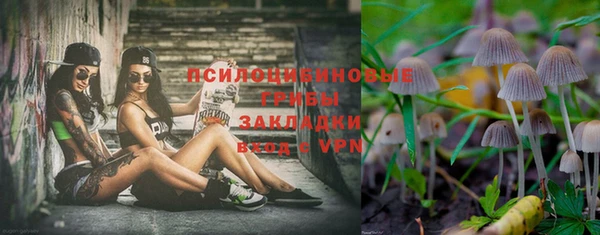 ПСИЛОЦИБИНОВЫЕ ГРИБЫ Верхнеуральск