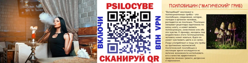 кракен зеркало  Кингисепп  Псилоцибиновые грибы Cubensis 